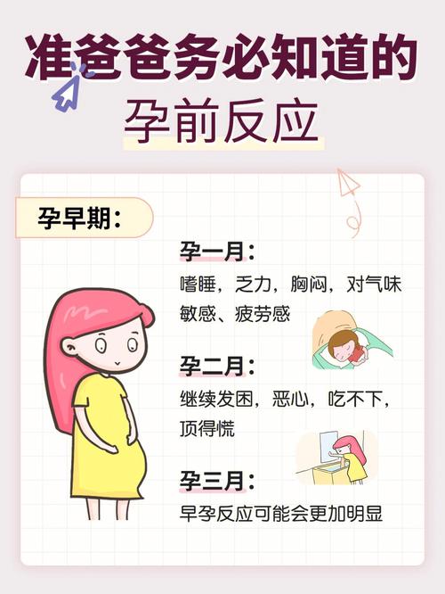 孕期反应一般从什么时候开始