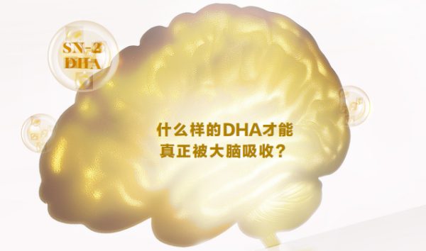 Perdays全孕期DHA，双倍脑黄金呵护宝宝大脑发育