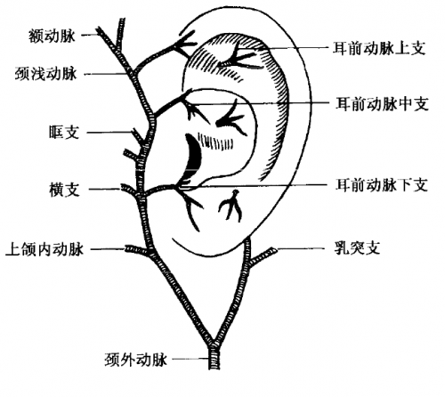 68861b00949a9