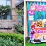 当尼克和朱迪搬进”盛夏光年新生屁护所”，这场跨界有点”料”！